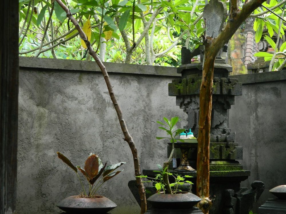D'Tegale Homestay Cepaka Ngoại thất bức ảnh